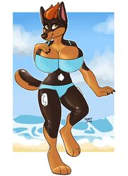  2018 3_toes 4_fingers absurd_res animate_inanimate anthro beach belly_valve big_breasts biped blue_bottomwear blue_clothing blue_topwear bottomwear bra breasts brown_body brown_claws brown_ears brown_nose brown_pawpads canid canine canis claws clothed clothing cloud daniel156161_(character) digital_drawing_(artwork) digital_media_(artwork) digitigrade dobermann domestic_dog erika_(daniel156161) feet female fingers glistening glistening_body hair handles_on_thighs hi_res inflatable latex living_inflatable mammal multicolored_body multicolored_tail navel nozzle orange_body orange_hair orange_paws pawpads pink_inner_ear pinscher pool_toy puptart_(artist) sand seam_(sewing) seaside short_hair short_tail simple_background sky smile solo standing tail thick_tail toes topwear underwear unusual_navel water white_background yellow_eyes 