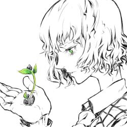  ascot bad_id bad_pixiv_id female flower green_eyes hands kazami_yuuka monochrome plaid plaid_vest plant portrait profile seed short_hair solo spot_color touhou vest watata13 