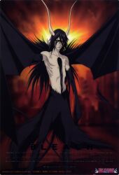  bleach horns male ulquiorra_schiffer wings 