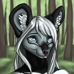  1:1 2019 african_wild_dog ambiguous_gender anthro black_nose blue_eyes canid canine day detailed_background digital_media_(artwork) enya_(littlemutt) eyebrows eyelashes forest grass hair headshot_portrait mammal outside plant portrait solo taterhoney tongue tree white_hair 