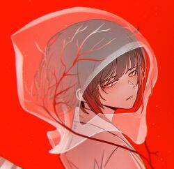  black_hair commentary_request gradient_hair highres hood korean_commentary limbus_company misg1111 multicolored_hair project_moon red_background red_hair ryoshu_(project_moon) short_hair simple_background transparent two-tone_hair veins white_eyes 