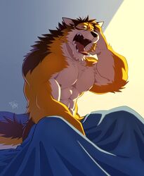  1boy abs animal_ears arashi_takemoto bara barrel_(live_a_hero) bed_sheet brown_fur completely_nude dog_boy dog_ears dog_tail fangs furry furry_male highres live_a_hero male_focus muscular muscular_male naked_sheet nipples nude open_mouth orange_fur pectorals sitting solo stomach tail yawning 