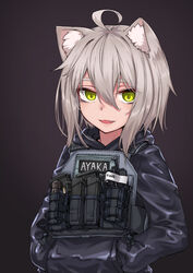  :d absurdres ahoge animal_ear_fluff animal_ears black_background blue_jacket brown_background cat_ears clip_(weapon) commentary_request female gradient_background green_eyes grey_hair hair_between_eyes hands_in_pocket highres hood hood_down hooded_jacket ivan_wang jacket looking_at_viewer oerba_yun_fang open_mouth original photoshop_(medium) sidelocks smile solo thick_eyebrows 