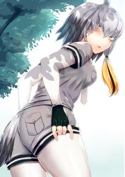  adjusting_clothes adjusting_shorts ass bird_tail black_gloves black_hair blush bodystocking breast_pocket commentary_request dappled_sunlight day embarrassed female fingerless_gloves from_behind gloves grey_hair grey_shirt grey_shorts hair_between_eyes highres kemono_friends layered_sleeves long_hair long_sleeves looking_at_viewer looking_back multicolored_hair necktie open_mouth orange_hair outdoors pocket shade shin&#039;yashiki shirt shoebill_(kemono_friends) short_over_long_sleeves short_sleeves shorts sidelocks solo sunlight tail tree tree_shade upper_body white_necktie 