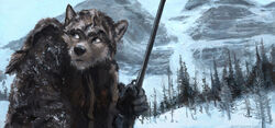  2017 anthro black_nose blue_eyes brown_body brown_fur canid canine clothed clothing cold fur hi_res jacket kenket mammal mountain plant snow solo topwear traditional_media_(artwork) tree wilderness 