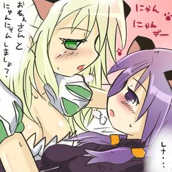  2girls aisha_landar animal_ears bad_id bad_pixiv_id blush breasts cat_ears cleavage collarbone elemental_master_(elsword) elsword grand_archer_(elsword) heavy_breathing morumoru00 multiple_girls open_mouth rena_erindel sweatdrop yuri 