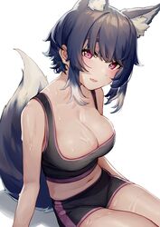  animal_ear_fluff animal_ears black_shorts blue_hair blush breasts cleavage extra_ears feet_out_of_frame female highres illian-san large_breasts looking_at_viewer medium_hair midriff navel oerba_yun_fang open_mouth original pink_hair shorts simple_background sitting skin_fang solo sweatdrop tail tank_top underbust white_background wolf_ears wolf_girl wolf_tail 