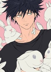  1boy animal animal_ears bandage_on_neck bandages black_hair black_shirt blush closed_mouth commentary frown fushiguro_megumi green_eyes hair_between_eyes holding holding_animal jujutsu_kaisen kukig8765 looking_to_the_side male_focus pink_background rabbit rabbit_ears shirt short_hair simple_background spiked_hair symbol-only_commentary too_many too_many_rabbits upper_body 