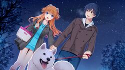  1boy akino_subaru aoi_hinata_(gin&#039;iro_haruka) bare_legs blue_dress blue_eyes blue_hair blue_pants blue_sweater brown_coat brown_eyes canine coat couple dress female floating_hair game_cg gin&#039;iro_haruka holding_hands long_hair long_sleeves looking_at_another niimi_yukito open_clothes open_coat orange_hair pants samoyed_(dog) shiny_skin short_dress short_hair sky star_(sky) starry_sky straight sweater sweater_dress thigh_gap very_long_hair walking winter 