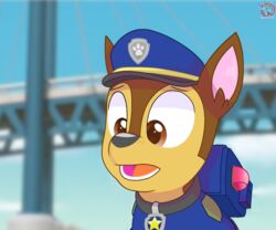  2020 backpack black_nose bridge brown_body brown_eyes brown_fur canid canine canis chase_(paw_patrol) collar domestic_dog feral fur german_shepherd herding_dog male mammal outside pastoral_dog paw_patrol police police_dog police_hat rainboweevee sky solo teeth 