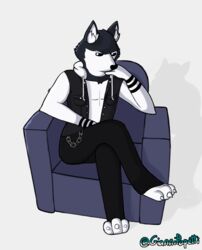  anthro black_bottomwear black_clothing black_jacket black_jeans black_pants black_topwear bottomwear canid canine canis clothed clothing denim denim_bottomwear denim_clothing denim_jacket denim_topwear digital_drawing_(artwork) digital_media_(artwork) domestic_dog front_view fur furniture giannipapetti gt_evolution hero hi_res husky jacket jeans male mammal multicolored_body multicolored_fur nordic_sled_dog pants pants_chain prey_the_devil_within&#039; relaxing shirt signature simple_background sitting sofa solo son_(lore) spitz tevelski_(gt_evolution) topwear two_tone_body two_tone_fur white_clothing white_shirt white_topwear 