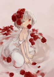  blood blood_on_clothes commentary_request dress female flat_chest flower flower_in_mouth grey_hair hair_flower hair_ornament heterochromia highres jewelry mouth_hold necklace off_shoulder original red_flower red_rose rose short_hair solo soto white_dress 