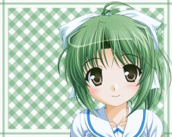  tagme touyama_midori yoake_mae_yori_ruri_iro_na 