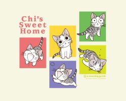  chi&#039;s_sweet_home feline tagme 