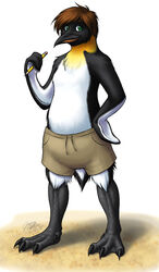  after_transformation anthro avian avian_feet beak bird black_body black_feathers bottomwear brown_hair chest_tuft claws clothed clothing emperor_penguin evion feathers green_eyes hair male membrane_(anatomy) partially_clothed pencil_(object) penguin shorts solo tail tail_feathers toe_claws tuft webbed_hands white_body white_feathers yellow_body yellow_feathers 