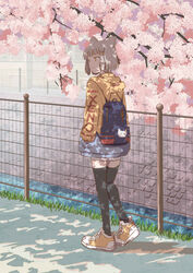  animal_ears backpack bag black_thighhighs blue_bag blunt_bangs cat_ears cherry_blossoms contemporary dappled_sunlight day female from_behind full_body grey_hair hands_in_pockets highres hood hoodie kageyasu nia_(xenoblade) outdoors shoes short_hair shorts sneakers solo sunlight thighhighs walking white_shorts xenoblade_chronicles_(series) xenoblade_chronicles_2 yellow_eyes yellow_footwear yellow_hoodie 