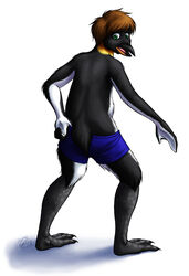  anthro avian avian_feet beak bird black_body black_feathers brown_hair clothed clothing emperor_penguin evion feathers feet green_eyes growth hair looking_back male membrane_(anatomy) partially_clothed penguin solo tail tail_feathers tail_growth toes topless transformation underwear webbed_feet webbed_hands white_body white_feathers yellow_body yellow_feathers 