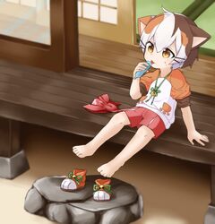  1boy :3 animal_ears bandana barefoot blurry blush brown_eyes brown_hair calico cat_boy cat_ears commentary depth_of_field feet food full_body hair_between_eyes hand_up highres holding house indie_virtual_youtuber male_focus multicolored_hair open_mouth orange_hair paw-shaped_pupils print_bandana red_bandana red_shorts shirt shoes short_hair shorts sitting sleeves_pushed_up solo stone sweatdrop symbol-shaped_pupils tatamaru_(vtuber) tatami tongue tongue_out tupet unworn_bandana unworn_neckerchief unworn_shoes veranda virtual_youtuber white_2530 white_hair 