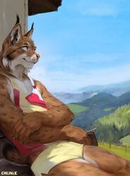  adobe_photoshop_(artwork) anthro bottomwear brown_body brown_fur chunie clothed clothing detailed_background digital_media_(artwork) digital_painting_(artwork) eurasian_lynx fangs felid feline fur hi_res holding_object looking_aside lynx male mammal mountain outside shirt shorts sitting sky smile solo tank_top teeth topwear white_body white_fur 