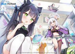  2girls animal_ears asymmetrical_legwear black_dress black_hair black_legwear blue_archive blue_legwear blush cat_ears chemistry china_dress chinese_clothes dress ear_piercing erlenmeyer_flask fishnets flask green_eyes halo indoors jacket jehyun long_hair looking_at_another mouse_(animal) mouse_ears mouse_tail multiple_girls navel nezusuke_(blue_archive) off_shoulder official_art open_mouth piercing pink_eyes purple_jacket saya_(blue_archive) saya_(casual)_(blue_archive) short_sleeves shun_(blue_archive) shun_(small)_(blue_archive) skateboard tail thighhighs twintails white_hair white_thighhighs 