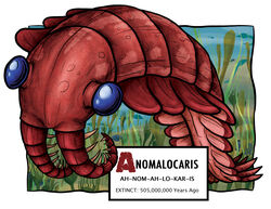  absurd_res ambiguous_gender anomalocarid anomalocaris arthropod blue_eyes border breath claws detailed_background english_text feral fin great_appendages hi_res kelp looking_at_viewer looking_away marine monster-man-08 panting pink_body red_body red_tail sand simple_background solo tail text underwater water white_background white_border 