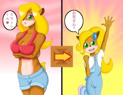  blonde_hair breasts coco_bandicoot crash_bandicoot curvy furry green_eyes overalls shorts tawna_bandicoot 