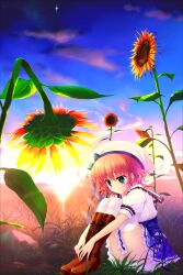  absurdres blue_eyes boots female flower hat highres himezono_risa hugging_own_legs legs_together mitha night night_sky pink_hair school_uniform sitting sky sunflower thighhighs white_thighhighs yuyukana 