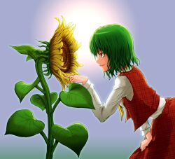  commentary_request ebiblue female flower green_hair hand_on_own_thigh highres kazami_yuuka leaning_forward profile short_hair smile solo sunflower touhou 