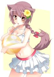  animal_ears bad_id bad_pixiv_id ball beachball bikini braid breasts brown_eyes brown_hair character_request cleavage dog_days female flower food frilled_bikini frills hair_flower hair_ornament medium_breasts midriff mobu_(nonoichi) popsicle solo swimsuit tail tail_raised 