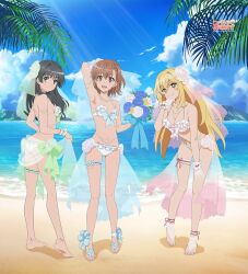  arm_up ass beach bikini black_hair blonde_hair bouquet breasts bridal_garter brown_eyes brown_hair cleavage day full_body holding holding_bouquet leaning_forward long_hair looking_at_viewer medium_breasts misaka_mikoto ocean official_art open_mouth saten_ruiko shokuhou_misaki short_hair small_breasts smile sunlight swimsuit toaru_kagaku_no_railgun toaru_majutsu_no_index veil white_bikini yellow_eyes yoshida_yuuko_(animator) 