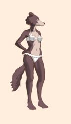  4:7 absurd_res anthro beastars bodily_fluids canid canine canis clothing dany-j female genital_fluids hi_res juno_(beastars) mammal navel simple_background solo standing underwear urine watersports wolf 