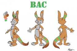  anthro chest_tuft digital_media_(artwork) facial_hair fan_character fur goatee green_eyes jak_and_daxter kbooki male mammal multiple_poses mustelid naughty_dog orange_body orange_fur ottsel paws pose semi-anthro simple_background solo sony_corporation sony_interactive_entertainment streaking tuft 