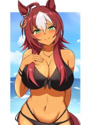  ahoge alternate_costume animal_ears aqua_eyes arn7 bare_shoulders bikini blush border bracelet breasts cleavage commentary_request cowboy_shot dark-skinned_female dark_skin darley_arabian_(umamusume) ear_ornament female front-tie_bikini_top front-tie_top hair_between_eyes highres horse_ears horse_girl horse_tail jewelry large_breasts long_hair looking_at_viewer multicolored_hair navel necklace outside_border red_hair side-tie_bikini_bottom sidelocks smile stomach streaked_hair swimsuit tail umamusume white_border white_hair 