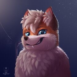  anthro canid canine digital_media_(artwork) feral fox fur hair hi_res male mammal portrait ray_frost solo supersahama 