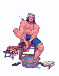  1boy abs absurdres animal_ears animal_on_shoulder bad_id bad_weibo_id bara beard beard_stubble bird bird_on_shoulder bucket closed_eyes drunk_tiger_(kuro) duck facial_hair fat_rolls full_body hair_slicked_back highres kuroshima_kurishiro_(muyi24108414) large_pectorals leg_hair male_focus mature_male multicolored_hair muscular muscular_male mustache_stubble original pants pants_rolled_up pectorals scar scar_on_chest scar_on_face scar_on_nose short_hair smirk solo stomach stubble tail tiger_boy tiger_ears tiger_tail two-tone_hair washing washing_feet white_hair 