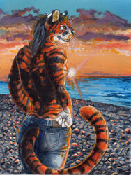  2023 3:4 anthro black_body black_fur black_hair bottomwear clothed clothing cloud denim denim_bottomwear denim_clothing felid fur hair hands_on_hips heather_bruton jeans litan male mammal orange_body orange_fur pantherine pants rock sea sky solo sun sunset tail tiger topless water whiskers white_body white_fur yellow_eyes 