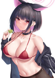  alternate_costume animal_ears bikini black_choker black_hair blue_archive bra breasts brown_pantyhose cat_ears choker closed_mouth collarbone colored_inner_hair commentary extra_ears female food halo highres holding holding_food jacket kazusa_(blue_archive) large_breasts looking_at_viewer macaron multicolored_hair navel open_clothes open_jacket pantyhose pink_hair pink_halo red_bikini red_bra red_eyes short_hair sideboob simple_background solo stomach strap_gap swimsuit underboob underwear white_background yuunagi_(0217) 