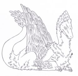  ambiguous_gender butt_tuft chest_tuft claws dragon european_mythology feathered_dragon feathered_scalie feathered_wings feathered_wyvern feathers feral fluffy hi_res line_art lying male_(lore) mythological_creature mythological_scalie mythology neck_tuft paws reptile scalie signature simple_background skyfifer solo tail tail_tuft teeth traditional_media_(artwork) tuft western_dragon white_background wings wyvern 