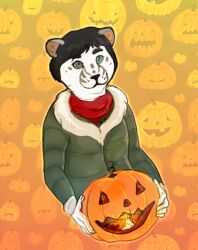  ambiguous_gender anthro black_hair clothed clothing felid fur green_clothing green_eyes green_jacket green_topwear hair holding_pumpkin jacket male_(lore) mammal mouth_closed red_scarf roobin scarf short_hair solo topwear white_body white_fur 