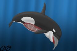  3:2 absurd_res ambiguous_gender cetacean dolphin feral group hi_res mammal marine oceanic_dolphin oral_vore orca orcaxdragon soft_vore toothed_whale vore 