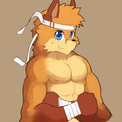  1:1 abs accessory anthro arm_wraps bandage biceps black_nose blue_eyes brown_background brown_body brown_fur canid canine crossed_arms cute_fangs digital_media_(artwork) fist flexing fox fur half-length_portrait headband hi_res looking_at_viewer male mammal muscular muscular_anthro muscular_male nude pecs portrait sharp_teeth signature simple_background smile solo teeth whiteleo wraps 