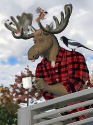  absurd_res ambient_bird anthro avian bird closed_eyes clothing coffee_mug deer facial_piercing flannel_shirt group hi_res male mammal miicoa moose new_world_deer nose_piercing piercing plant shirt shoes_(artist) sky smiles solo_focus topwear tree 