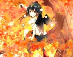  autumn black_hair black_wings commentary_request female hat leaf looking_at_viewer maple_leaf mushi_baibai red_eyes shameimaru_aya solo tokin_hat touhou wings 