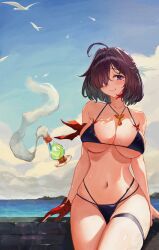  absurdres ahoge asymmetrical_bangs atelier_(series) atelier_yumia bikini black_bikini black_hair blue_sky breasts closed_mouth commentary_request curvy female flammi_(atelier) gloves groin hair_over_one_eye highres horizon jewelry large_breasts looking_at_viewer medium_hair mole mole_under_eye multicolored_hair navel necklace parted_bangs partially_fingerless_gloves purple_eyes red_gloves red_hair shippo_(pixiv_18567314) simple_bird single_glove sky smile solo standing streaked_hair swimsuit two-tone_hair wet yumia_liessfeldt 