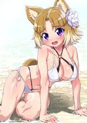  animal_ear_fluff animal_ears arcana_heart ass_visible_through_thighs beach bead_bracelet beads bikini black_bikini blush bracelet breasts brown_hair cleavage criss-cross_halter dog_ears dog_girl dog_tail embarrassed female flower hair_flower hair_ornament halterneck high-waist_bikini inuwaka_nazuna jewelry looking_at_viewer medium_breasts multicolored_hair navel o-ring o-ring_bikini oerba_yun_fang open_mouth outdoors purple_eyes sand senzoc short_hair side-tie_bikini_bottom sitting solo string_bikini swimsuit tail two-tone_hair water white_bikini yokozuwari 