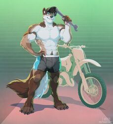  4_toes 5_fingers abs anthro biceps big_muscles bottomwear canid canine canis claws clothed clothing domestic_dog feet finger_claws fingers gradient_background hat headgear headwear hi_res husky looking_at_viewer male mammal motorcycle muscular nordic_sled_dog obliques pattern_background paul_(majin764) pecs shorts simple_background smile solo spitz stoopix teeth_showing toe_claws toes tools topless triceps vehicle wrench 