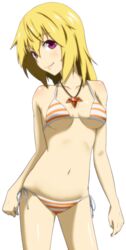  bikini blonde_hair breasts charlotte_dunois cleavage extraction female highres infinite_stratos jewelry looking_at_viewer matoryou_shika medium_breasts mg_renders navel necklace orange_bikini purple_eyes side-tie_bikini_bottom smile solo striped_bikini striped_clothes swimsuit transparent_background underboob 