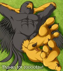  2011 4_toes abs accipitrid accipitriform anisodactyl anthro avian avian_feet barefoot bird black_body black_feathers closed_eyes eagle english_text feathered_wings feathers featureless_crotch feet hands_behind_head lying male on_back solo tan_(artist) tan_(character) text toes wings yellow_feet 