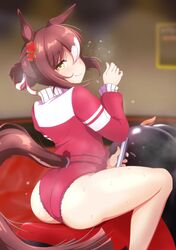  absurdres animal_ears ass blurry blurry_background blush brown_hair buruma clover_hair_ornament commentary_request commission female fine_motion_(umamusume) folded_ponytail four-leaf_clover_hair_ornament frilled_panties frills hair_bun hair_ornament highres horse_ears horse_girl horse_tail jacket long_sleeves looking_at_viewer looking_back mechanical_bull multicolored_hair panties panties_under_buruma red_buruma red_jacket shiodanx short_hair skeb_commission smile solo steaming_body streaked_hair sweat tail tail_through_clothes thighs tracen_training_uniform track_jacket umamusume underwear white_hair 