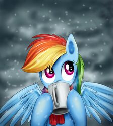  2013 container cup drinking equid equine female friendship_is_magic hair hasbro high-roller2108 mammal multicolored_hair my_little_pony mythological_creature mythological_equine mythology pegasus purple_eyes rainbow_dash_(mlp) rainbow_hair scarf snow snowing solo steam wings 